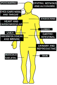 where DDT can damage the body